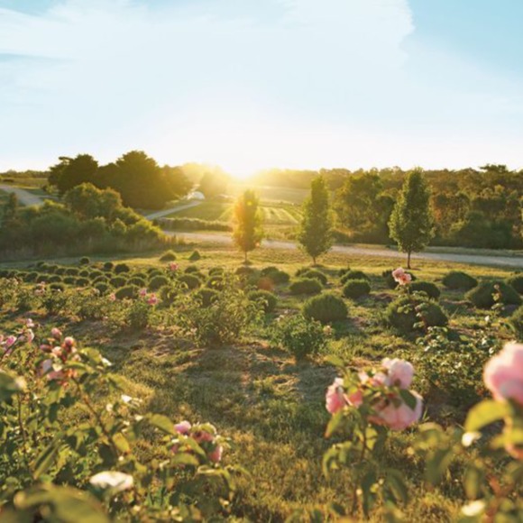 beautyfarm2you